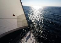 Segelyacht Horizont Genua rollen Bug Meer Sonne